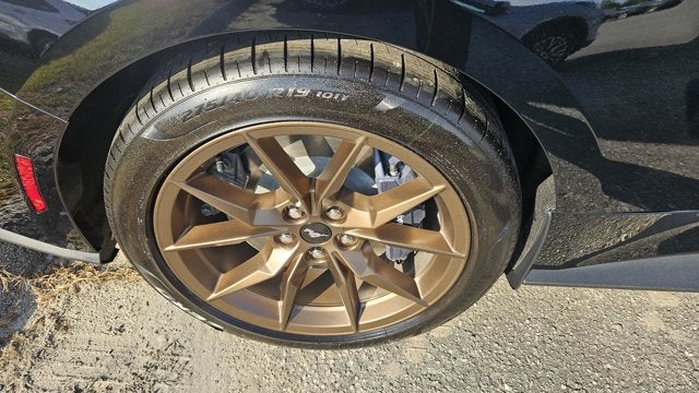 2025 Ford Mustang Dark Horse