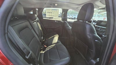 2025 Ford Escape PHEV