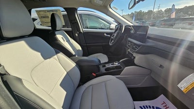 2026 Ford Escape Platinum