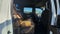 2026 Ford Super Duty F-250 SRW F-250® King Ranch®